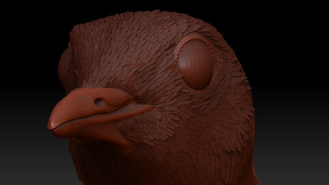 Zbrush LowPoly Feather Insert brush