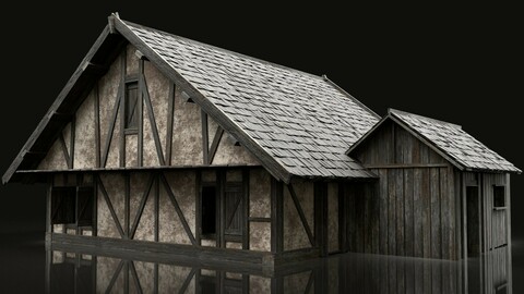 ENTERABLE AAA NEXT GEN MEDIEVAL FANTASY CITY TOWN HOUSE