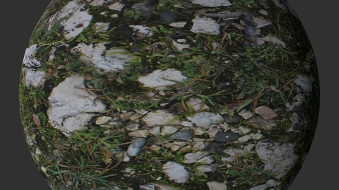 Gravel Grass 1 PBR Material