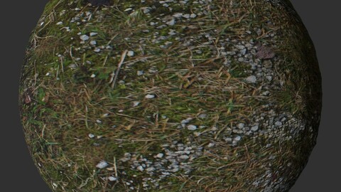 Gravel Grass 2 PBR Material