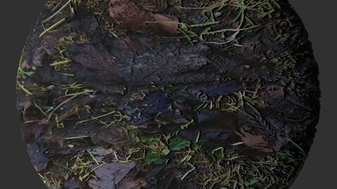 Fall Ground 2 PBR Material
