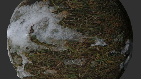 Ground Snow Grass 4 PBR Material