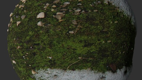 Moss And Snow 1 PBR Material