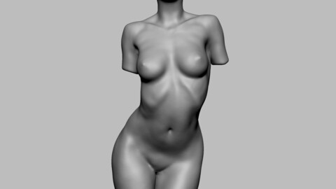 Female Torso 02