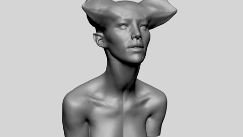 Female Head Neck Form