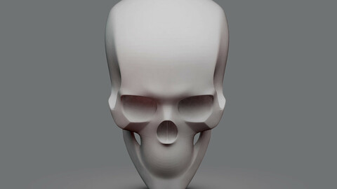 Skull Proportions & Key Landmarks