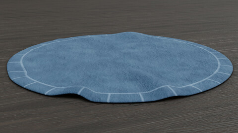 Circular Rug 3D model