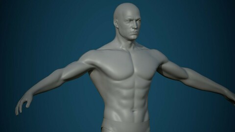 Base mesh male body