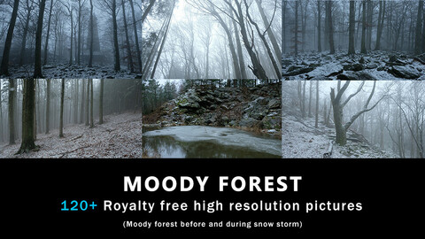 Moody Winter forest photopack
