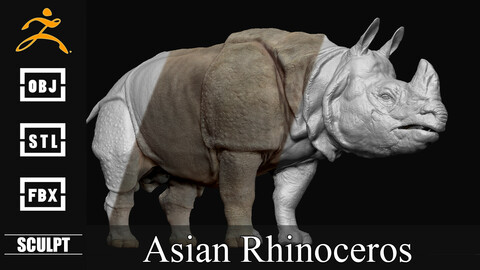 Asian Rhinoceros Sculpt