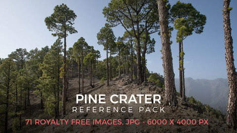 Pine Crater