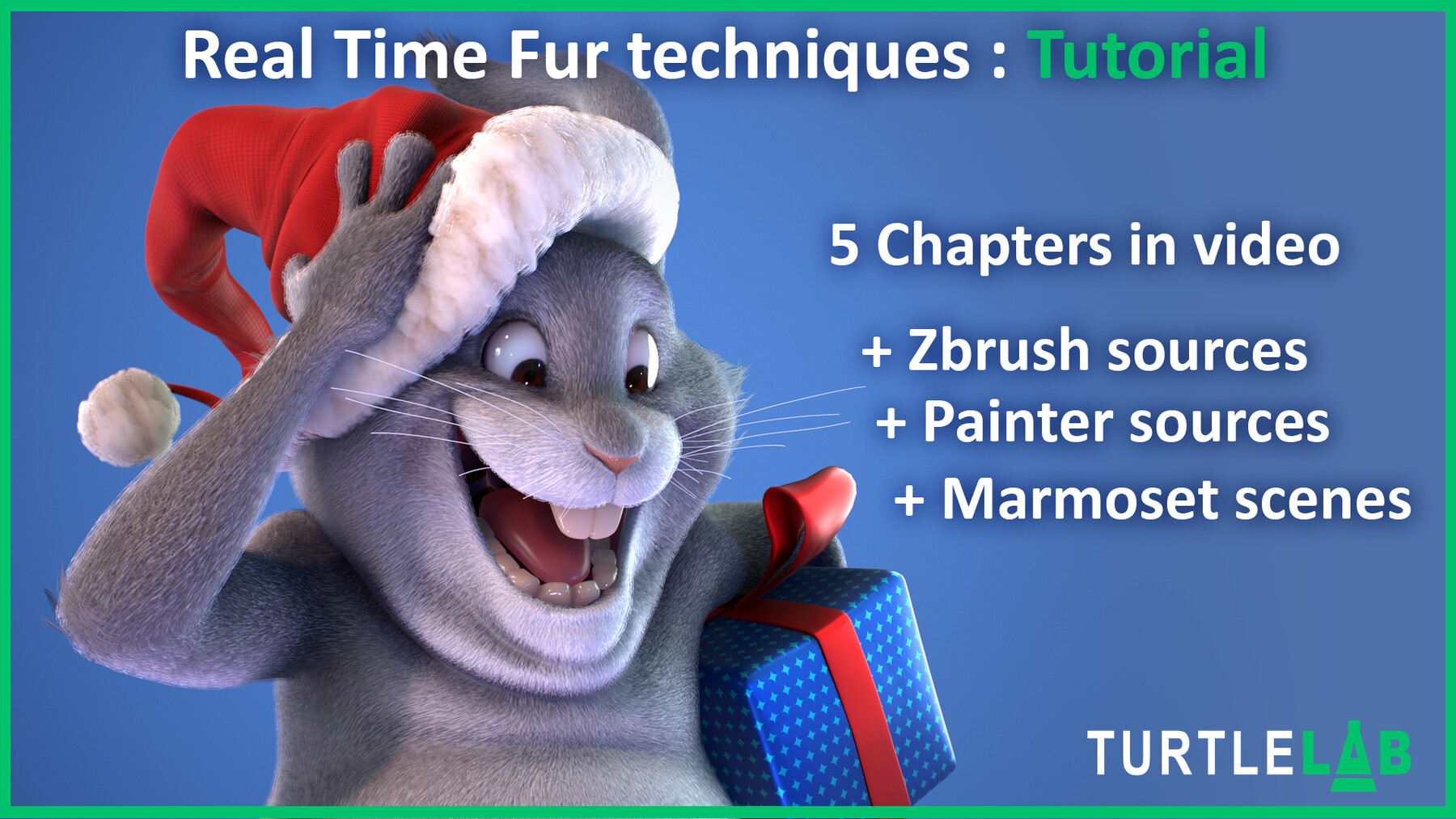 Turtle LAB - Real Time Fur Techniques : Tutorial