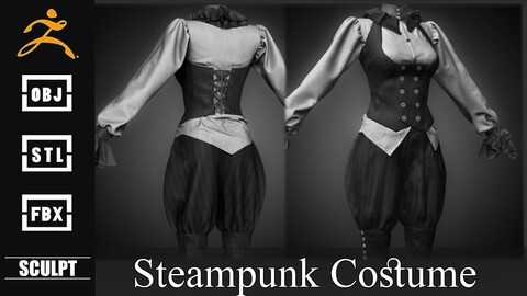 Realistic Steampunk Costume