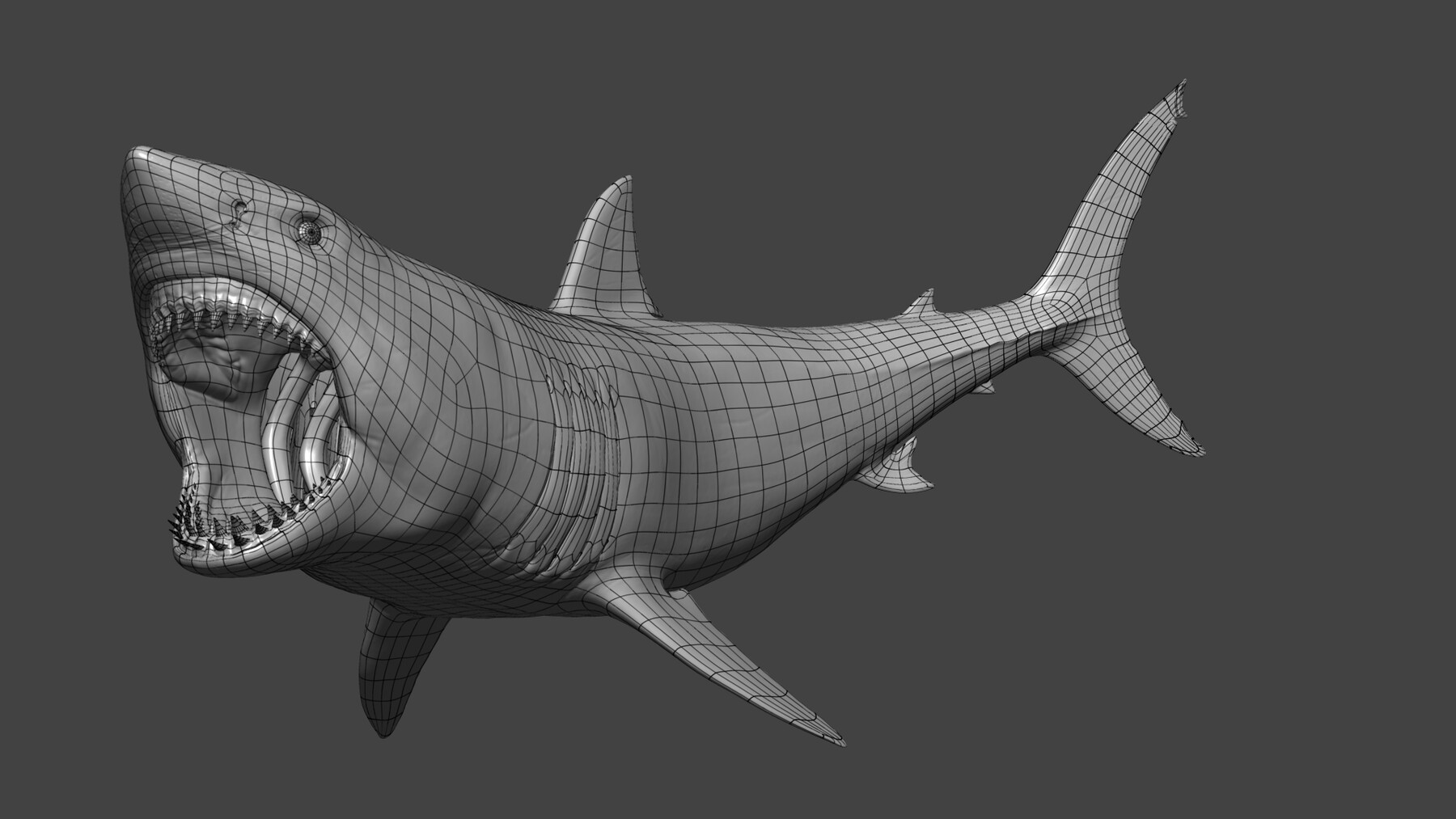 Great White Shark Model (Blender) by ScorchingKami on DeviantArt