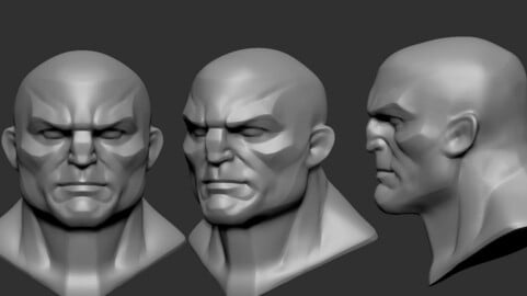 ArtStation - Comic Head Sketch Basemesh | Resources