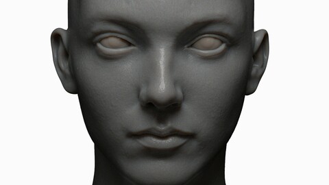 female 20s high detail zbrush, obj file with low poly