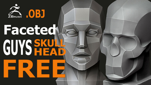 Planar faceted head and skull