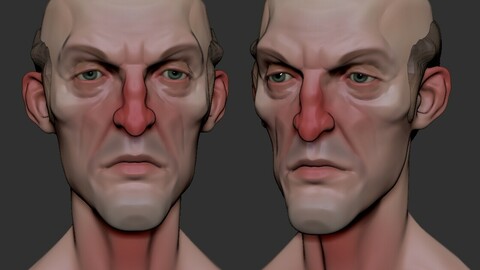 Stylized Head Rusian