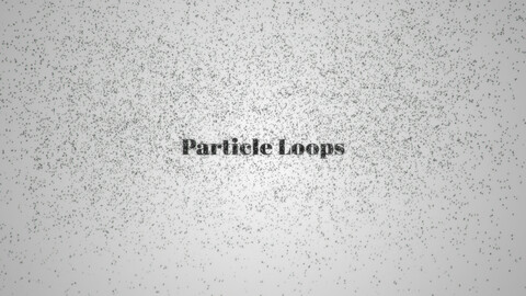 Particle Loops