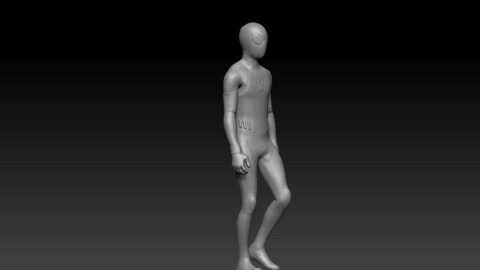 Spider-man -Animated and rigged character
