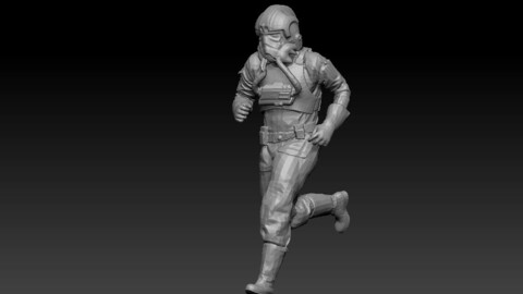 Soldier- pilot Deathtrooper