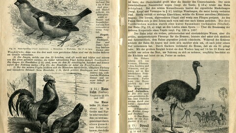 1902 Geman Zoology Textbook Ch. 1