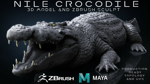 Production Quality Nile Crocodile 3D Model & ZBrush Sculpt