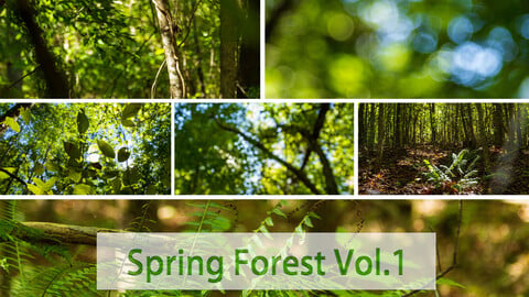 [FREE] Spring Forest V1