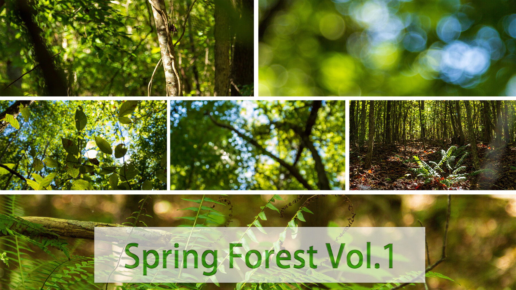ArtStation - [FREE] Spring Forest V1 | Resources