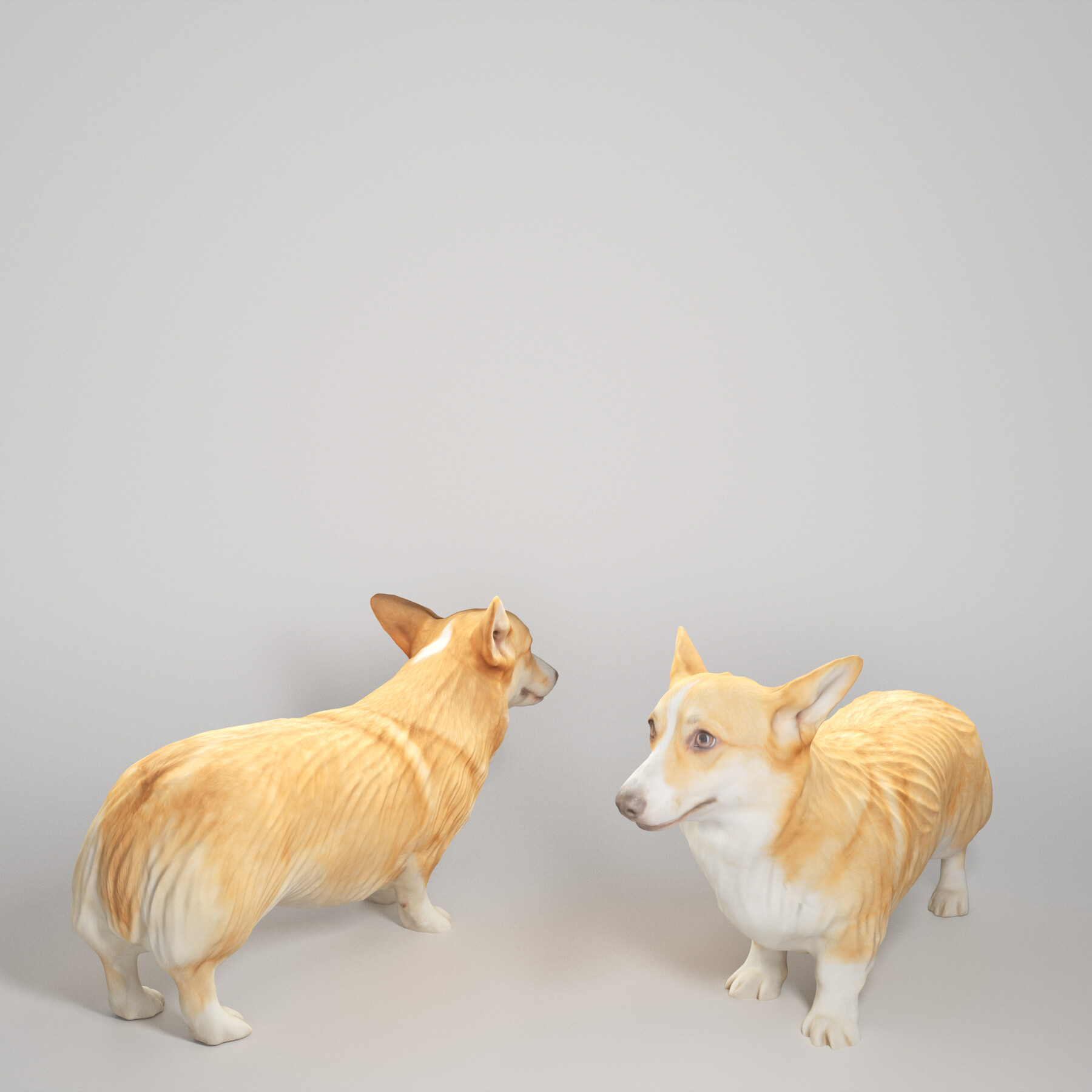 ArtStation - Corgi dog 04 | Game Assets