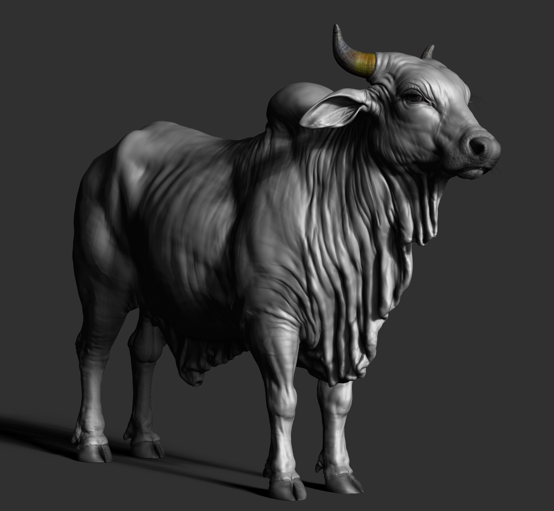Artstation Production Quality Bull 3d Model And Zbrush Sculpt Game Assets