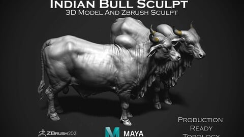 Production Quality Bull 3D Model & ZBrush Sculpt