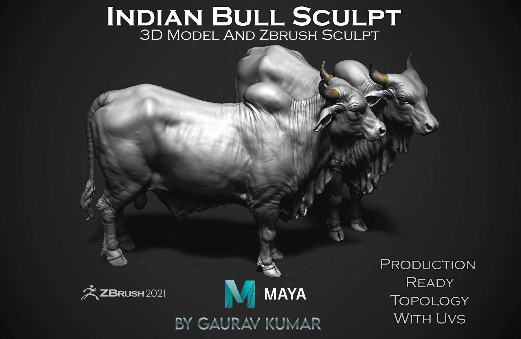 Gaurav Kumar Production Quality Bull 3d Model And Zbrush Sculpt