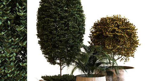 plant in box set 038