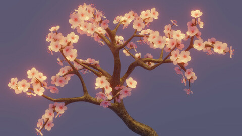 cherry tree