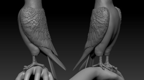 Bird Model Detail