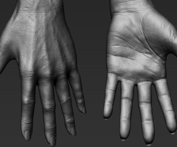 ArtStation - Realistic Female Hand | Resources