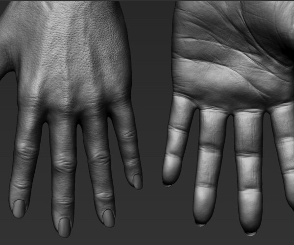 ArtStation - Realistic Female Hand | Resources