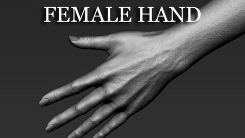 Realistic Female Hand