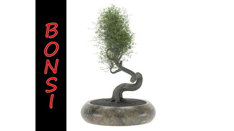 BONSAI