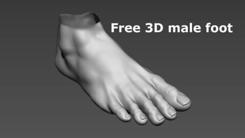 Free 3D Male foot