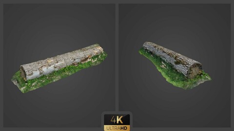 86 Scan - FBX object scanning ASSETS