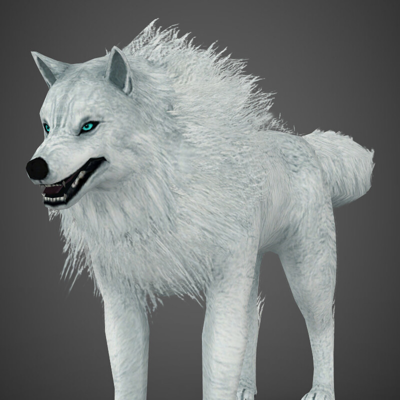 Item:Web Camera, White Wolf Wiki