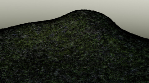 Grass For Blender 2.9