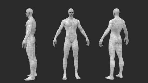 BaseMesh - Male Body Lowpoly