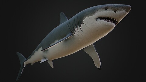 Shark