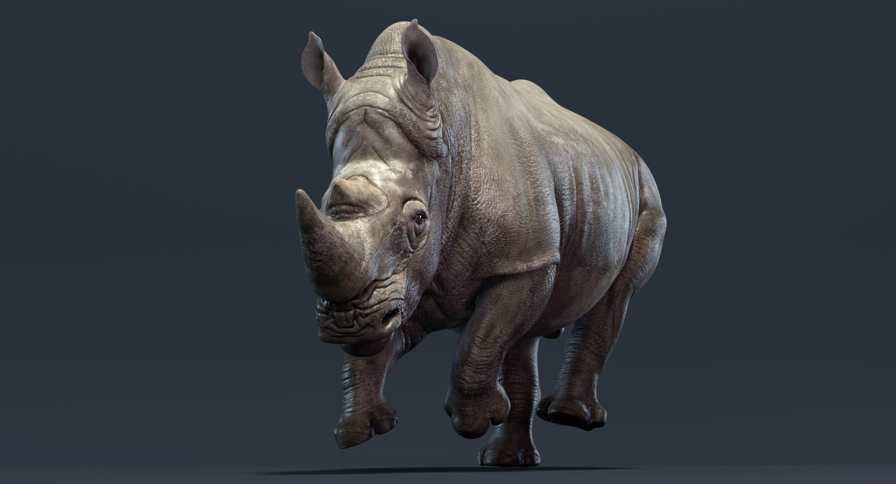 Rhino Animated.