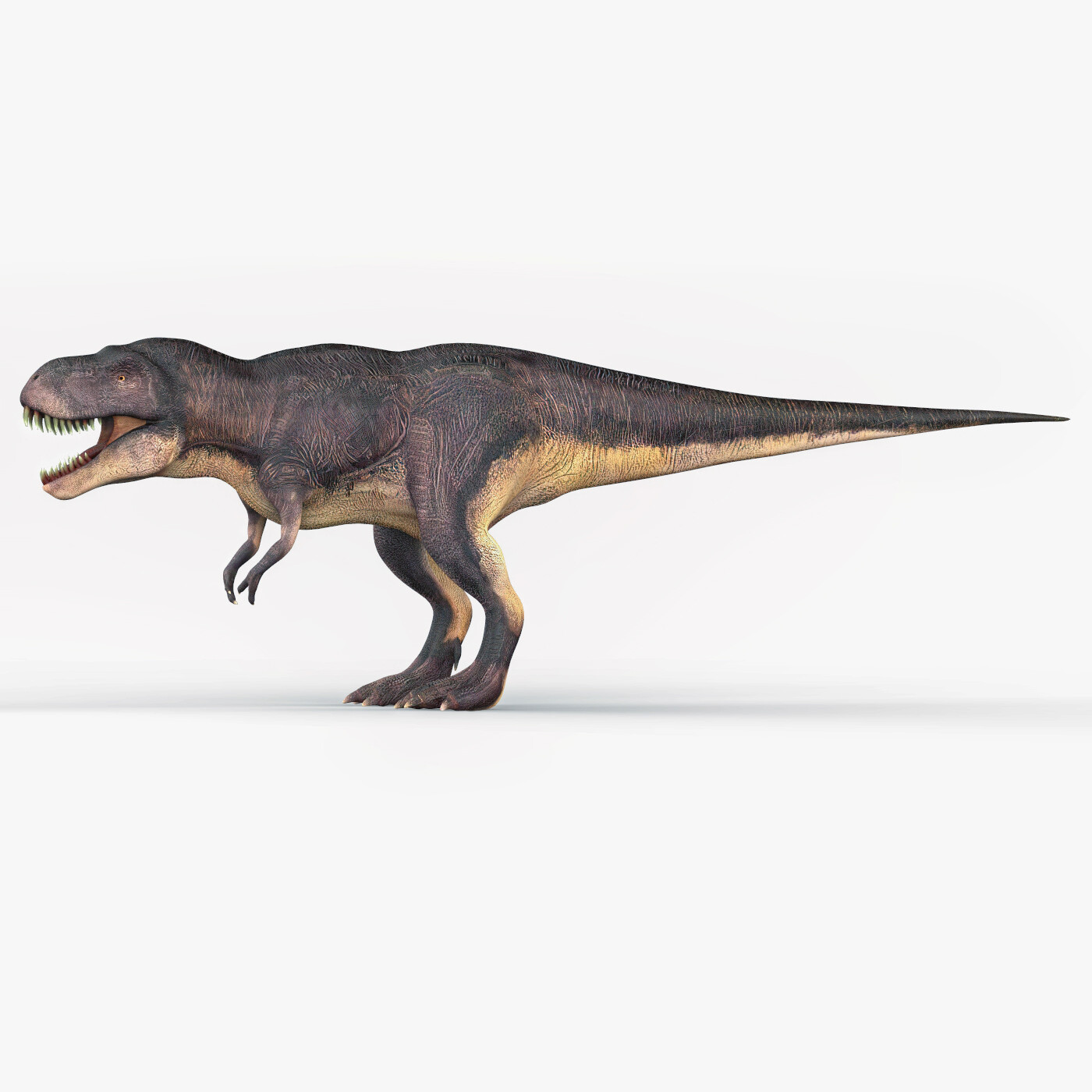 ArtStation - Tyrannosaurus Rex Trex Dinosaur 3D Monster Animal