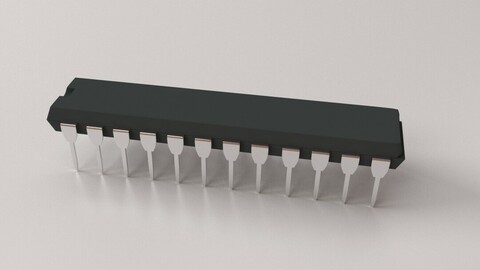 28 Pin Microchip
