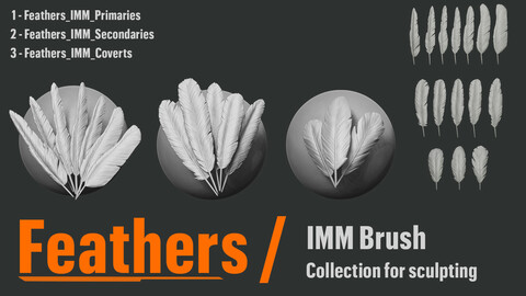 Feathers_IMM for sculpting - ZBrush 2021.5.1